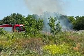 Płonęła trawa w Ożarowie