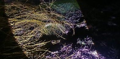 Nie żyje 82-latka, która wpadła do dreny z wodą