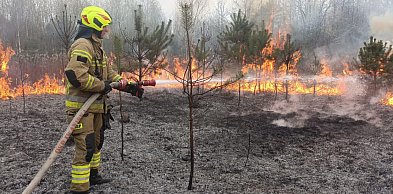 Płonął las w Kopcu