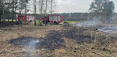 Strażacy gasili pożar lasu