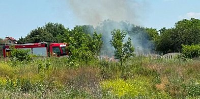 Płonęła trawa w Ożarowie