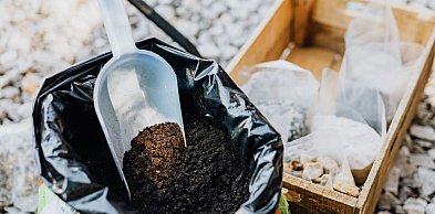 Nawozy organiczne w ogrodzie – dlaczego warto wybrać kompost i obornik?