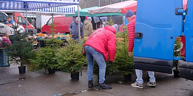 Przedświąteczna atmosfera na ostrowieckich targowiskach-162270