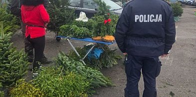 Sprzedaż choinek i ryb pod kontrolą-162309