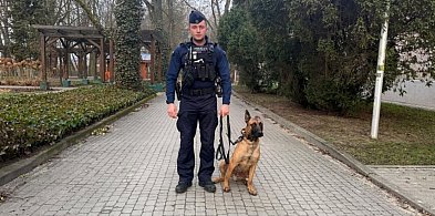 Pieski w ostrowieckiej komendzie