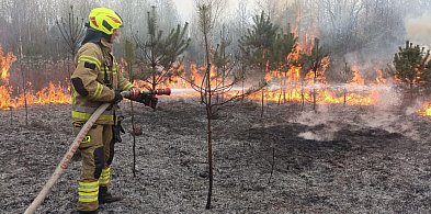 Płonął las w Kopcu