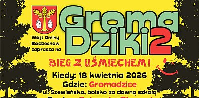 Utrudnienia w ruchu - Bieg Groma-Dziki 2