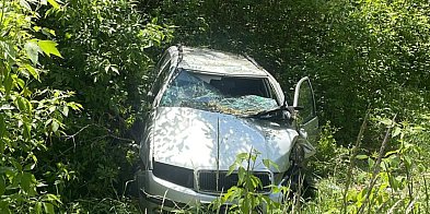Chmara drobiu, czarny kot i jazda pod prąd-160422