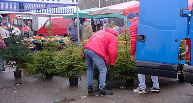 Przedświąteczna atmosfera na ostrowieckich targowiskach-162270