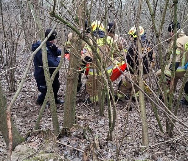 Była w stanie zagrożenia życia-162541