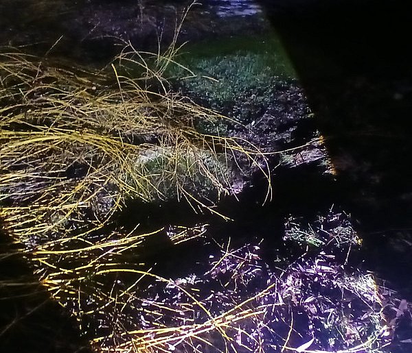 Nie żyje 82-latka, która wpadła do dreny z wodą