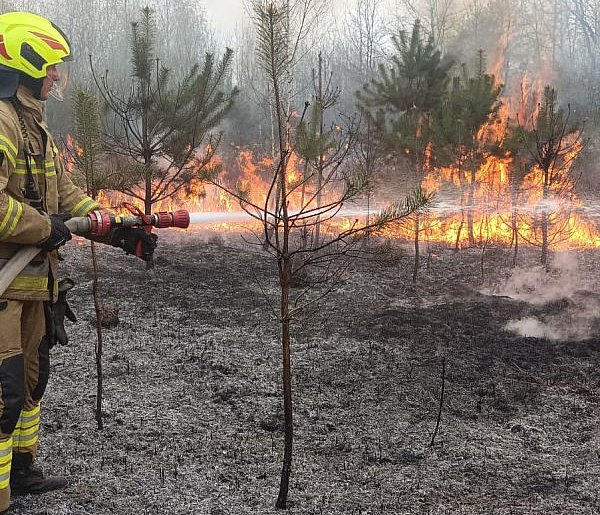 Płonął las w Kopcu