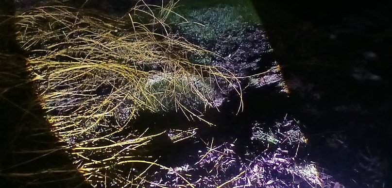 Nie żyje 82-latka, która wpadła do dreny z wodą