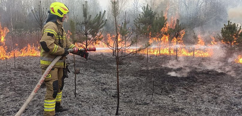 Płonął las w Kopcu