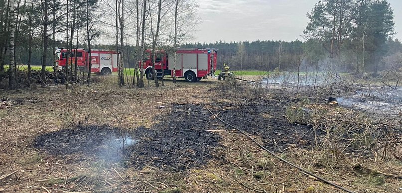 Strażacy gasili pożar lasu