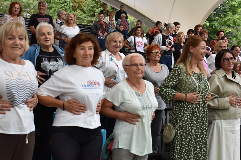 Festiwal w Parku Miejskim