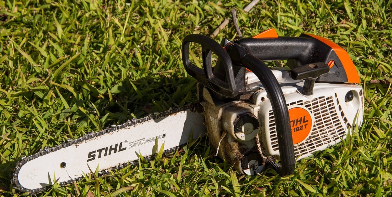 Image by sandid from Pixabay