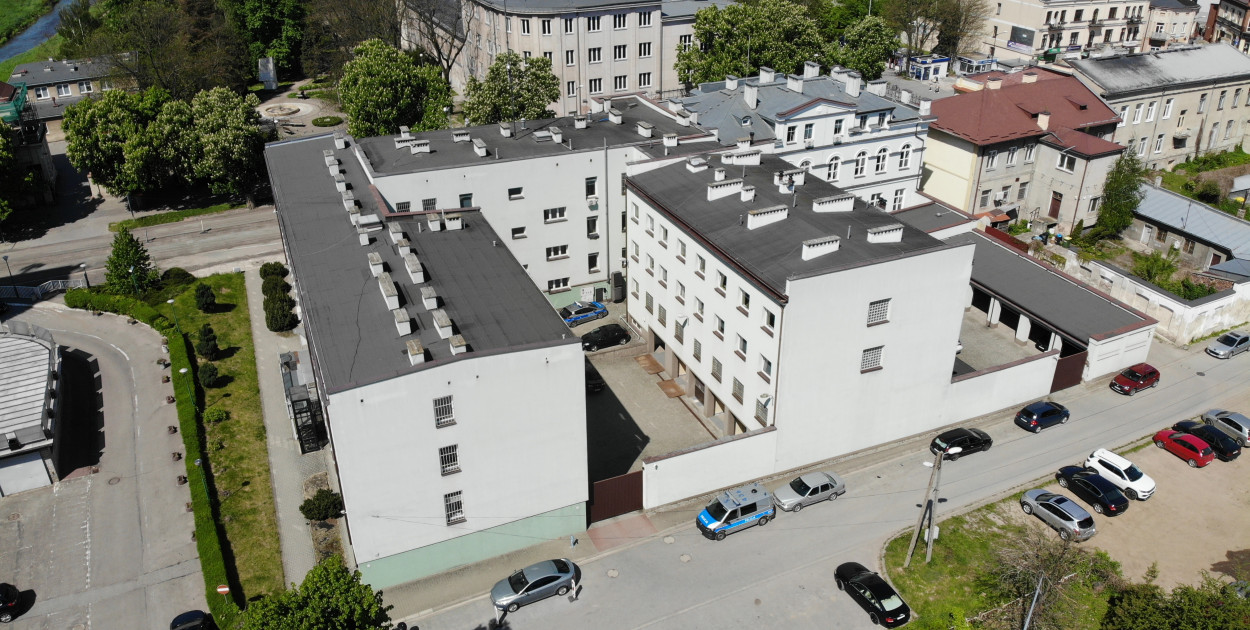 Passat oszpecony, 15 tysięcy straty