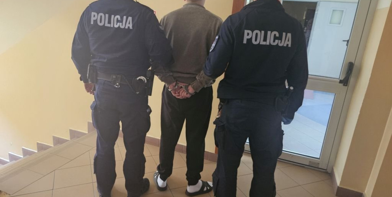 Diler trafił do więzienia