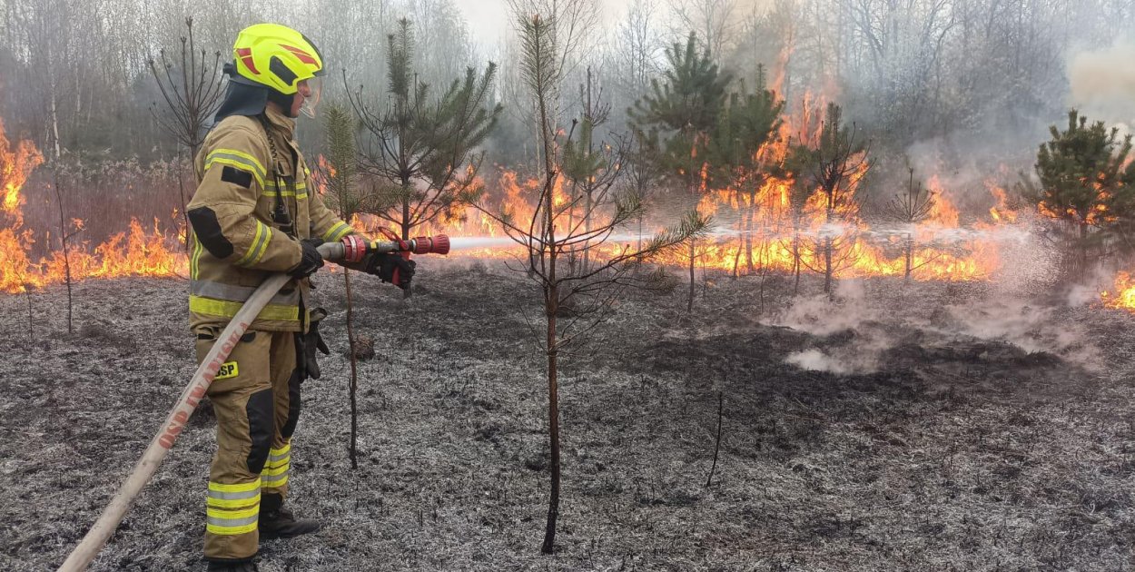 Płonął las w Kopcu
