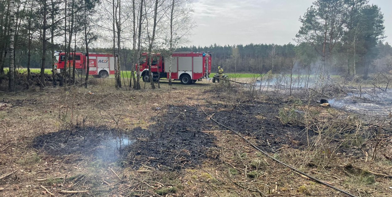 Strażacy gasili pożar lasu